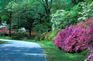 National Arboretum